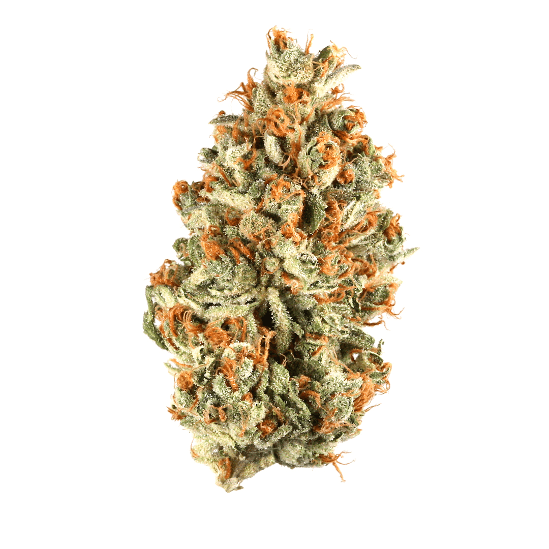 Goudaberry
